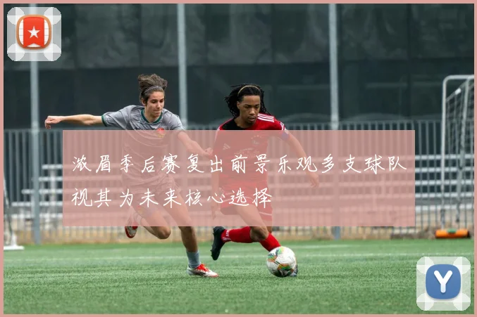 浓眉季后赛复出前景乐观多支球队视其为未来核心选择